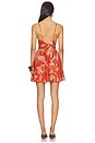 view 3 of 4 Emilie Mini Dress in Paprika Austral