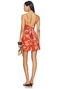 view 4 of 4 Emilie Mini Dress in Paprika Austral