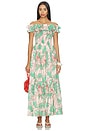 view 1 of 3 Suzanne Long Dress in Green Petal