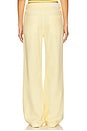 view 4 of 6 Jadyn Low Slung Palazzo in Lemonade