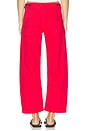 view 4 of 6 Tori Utility Pant in Negroni