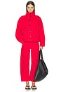 view 5 of 6 Tori Utility Pant in Negroni