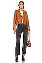 view 5 of 5 Tracy Moto Jacket in Cognac
