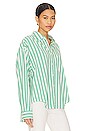 view 3 of 5 Sloane Button Up Shirt in Clover Stripe