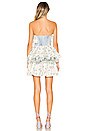 view 3 of 3 Mareno Dress in Grotto Mix