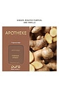 view 6 of 6 Pumpkin Ginger Diffuser Refill in 