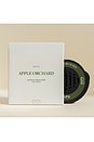 view 2 of 6 Apple Orchards Car Diffuser in 