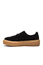 view 5 of 6 x Rihanna Anniversary Creepers in Black & Oatmeal
