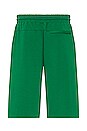 view 2 of 4 AMI Shorts in Verdant Green