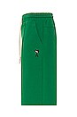 view 3 of 4 AMI Shorts in Verdant Green