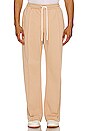 view 1 of 4 AMI Wide Pants in Ginger Root