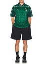 view 5 of 5 T-SHIRT DE FOOTBALL in Dark Myrtle