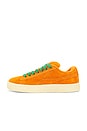 view 5 of 7 X Carrots Suede Xl in Rickie Orange & Warm White