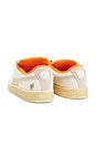 view 3 of 7 X Carrots Suede Xl 2 in Warm White & Rickie Orange