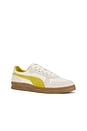 view 2 of 7 Indoor The Neverworn Iv in Frosted Ivory, Golden Fog, & Alpine Snow