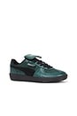view 2 of 7 ZAPATILLAS DEPORTIVAS PALERNMO 2 in Dark Myrtle & Puma Black
