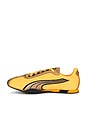 view 5 of 6 H-STREET 스니커즈 in Sun Stream & Puma Gold
