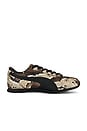 view 3 of 10 SNEAKERS SPRINT in Russet Brown & Puma Black
