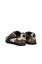 view 4 of 10 SNEAKERS SPRINT in Russet Brown & Puma Black
