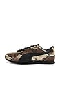 view 7 of 10 SNEAKERS SPRINT in Russet Brown & Puma Black