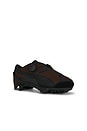 view 2 of 6 SNEAKERS BEISSER in Chocolate & Puma Black