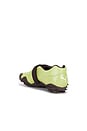 view 3 of 6 ZAPATILLA DEPORTIVA MOSTRO FEY CROS in Pistachio Green & Chocolate Brown