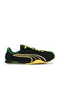 view 1 of 6 H-Street Jamaica Sneaker in Puma Black & Yellow Sizzle