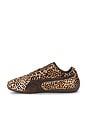 view 5 of 6 Speedcat Wild Sneaker in Chocolate & Warm White