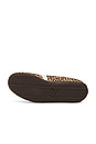 view 6 of 6 Speedcat Wild Ballet Flat in Chocolate & Warm White