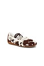 view 2 of 6 Speedcat Cow Ballet Flat in Chocolate Brown & Warm White
