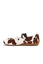 view 5 of 6 Speedcat Cow Ballet Flat in Chocolate Brown & Warm White