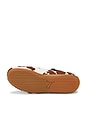 view 6 of 6 Speedcat Cow Ballet Flat in Chocolate Brown & Warm White