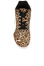 view 4 of 6 Speedcat Sneaker in Leopard in Puma Black & Warm White