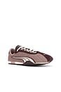 view 2 of 6 H-street Sneakers in Sandstone & Chocolate Brown