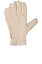 view 1 of 4 Organic Cotton Overnight Gloves in 
