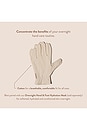 view 4 of 4 Organic Cotton Overnight Gloves in 