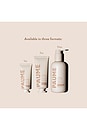 view 5 of 5 BAUME POUR LES MAINS PROBIOTIC HAND BALM in Signature Scent