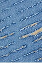 view 5 of 5 SHORTS DENIM CUT THROUGH in Blue