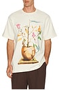 view 1 of 4 CAMISETA APPLE LENIN in Cream