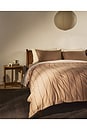view 3 of 3 Pillow Percale Sham Set in Adobe Stripe