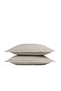 view 1 of 1 Brushed Cotton Sham Set in Bone Stripe