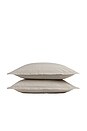 view 1 of 1 CONJUJNTO DE FRONHA KING BRUSHED COTTON SHAM SET IN BONE STRIPE in Bone Stripe