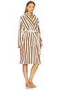 view 2 of 4 Terry Stripe Robe in Bone & Tobacco