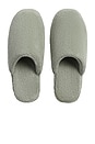 view 1 of 1 CHINELOS MEDIUM CLASSIC PLUSH in Sage