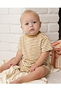 view 2 of 7 SET DE CAMISETA Y SHORT in Honey Stripe