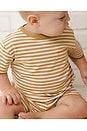 view 6 of 7 SET DE CAMISETA Y SHORT in Honey Stripe