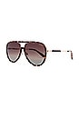 view 2 of 3 High Profile Polarized Sunglasses in Brown Tort & Brown