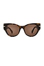 view 1 of 3 Chit Chat Sunglasses in Pebble Tort & Brown