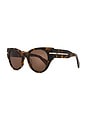 view 2 of 3 Chit Chat Sunglasses in Pebble Tort & Brown