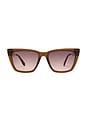 view 1 of 3 GAFAS DE SOL in Coffee & Brown Fawn